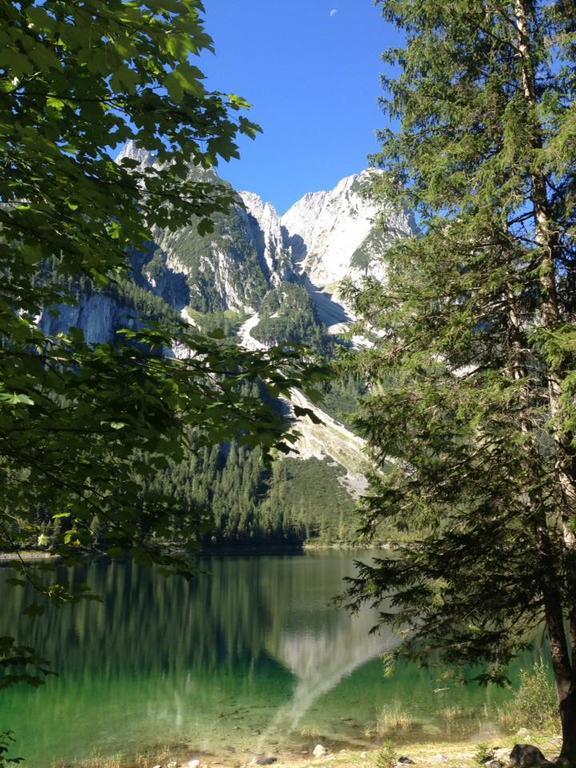Pension Edelweiss Appartement Wimmer Gosau Dış mekan fotoğraf