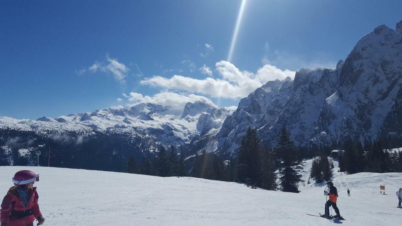 Pension Edelweiss Appartement Wimmer Gosau Dış mekan fotoğraf