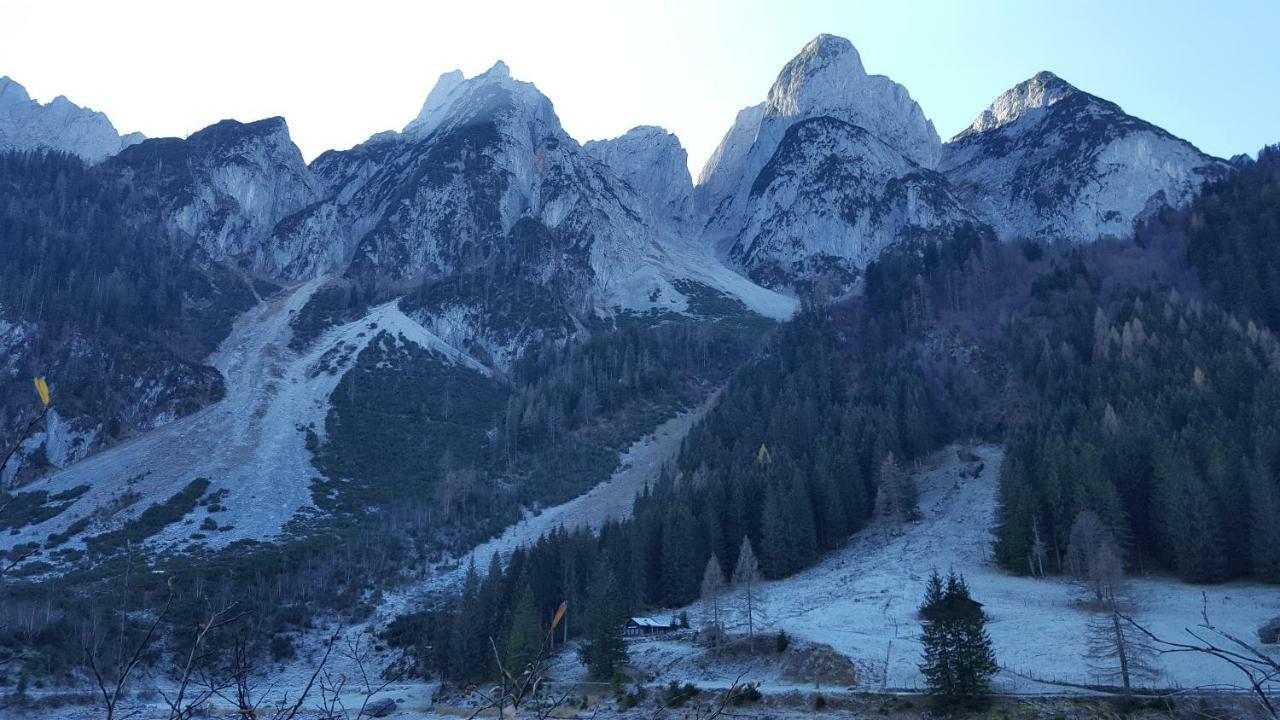 Pension Edelweiss Appartement Wimmer Gosau Dış mekan fotoğraf