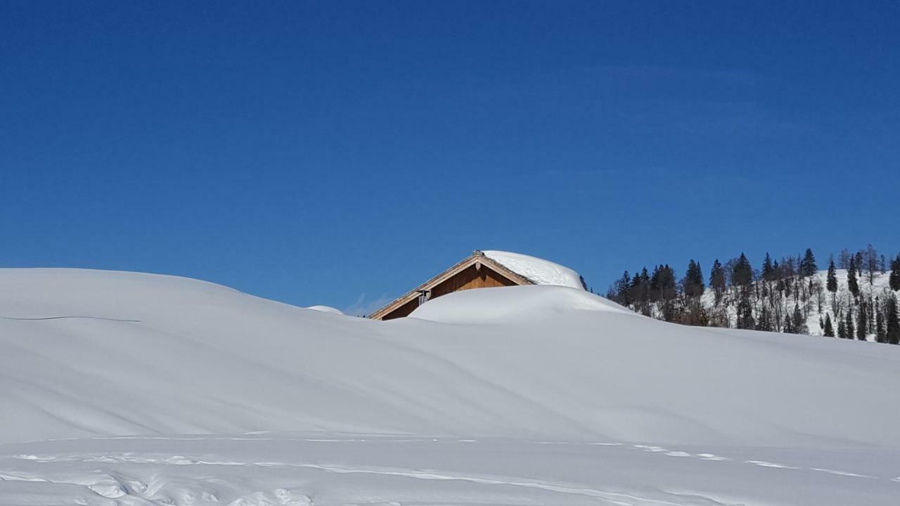 Pension Edelweiss Appartement Wimmer Gosau Dış mekan fotoğraf
