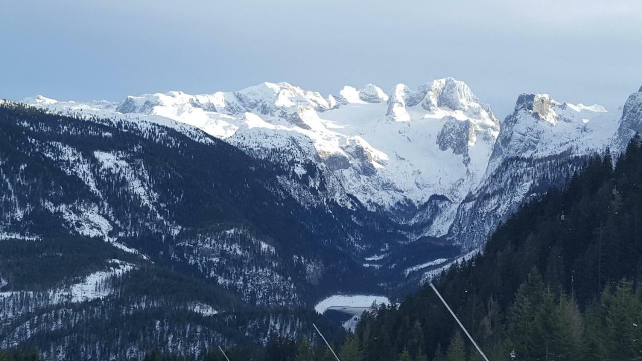 Pension Edelweiss Appartement Wimmer Gosau Dış mekan fotoğraf