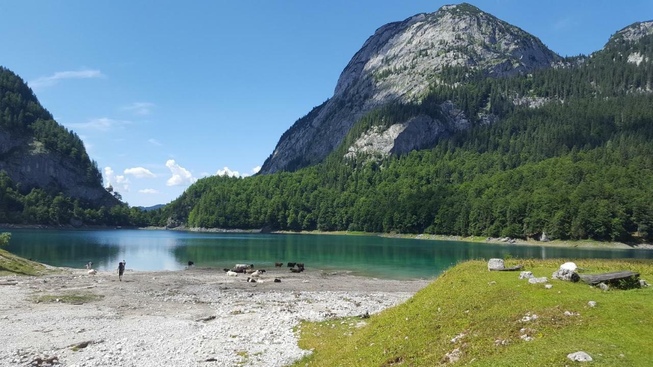 Pension Edelweiss Appartement Wimmer Gosau Dış mekan fotoğraf